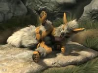 Horny furry fox sucking his own dick on the stone